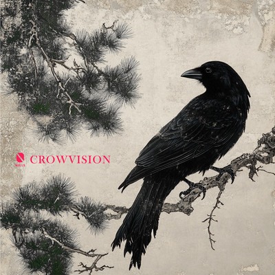CROWVISION