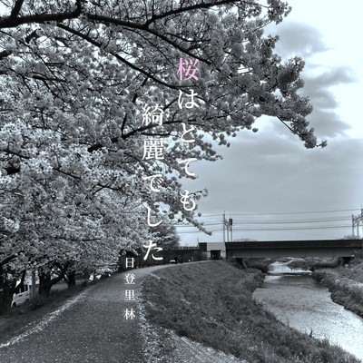 Sakurahatotemokireideshita