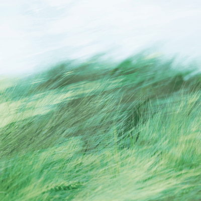 Natsukaze