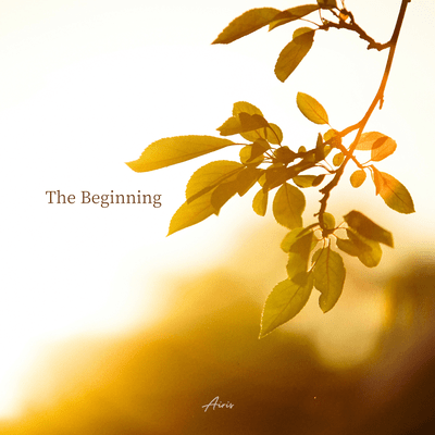 The Beginning