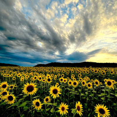 Beautiful Memories (Demo ver)