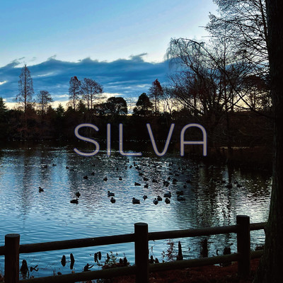 SILVA