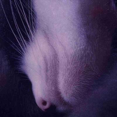 The best mistake in life - My Sweetest Sin