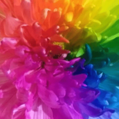 I can't beat sensibility