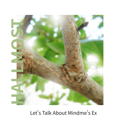 Let's Talk About Mindme's Ex