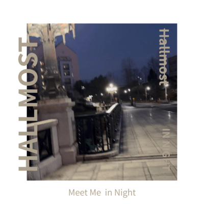 Meet Me in Night
