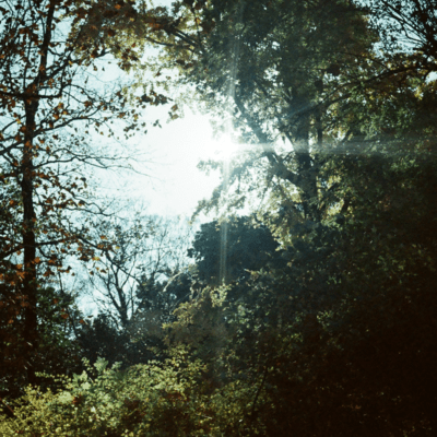 Towards the light