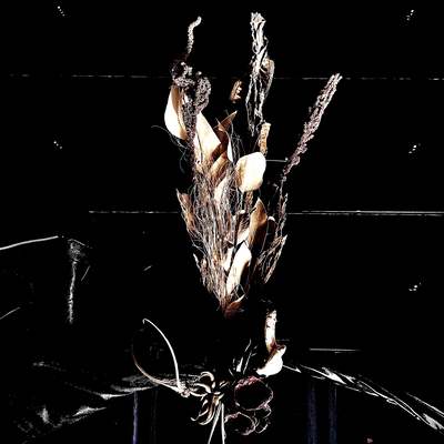 Boku wa Boku o Misuteta