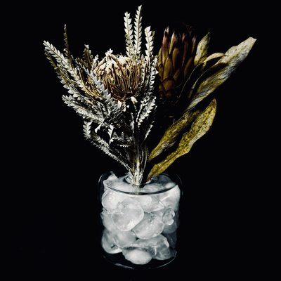 Boku wa Koko ni Irarenai yo