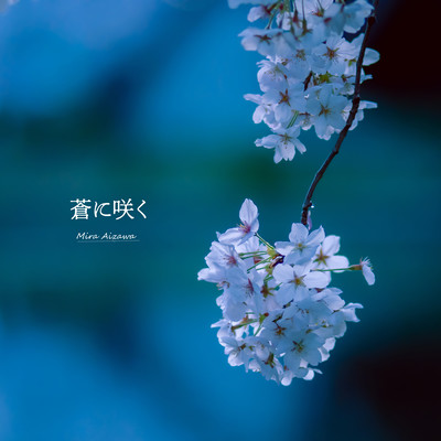 Blooming in blue