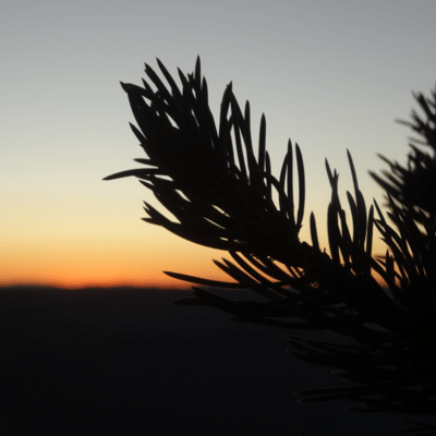 At the time of sunset