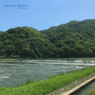 Gentle Breeze