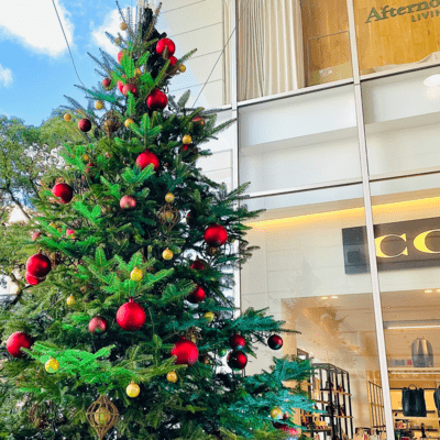 happy Christmas