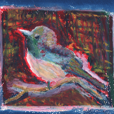 true bird