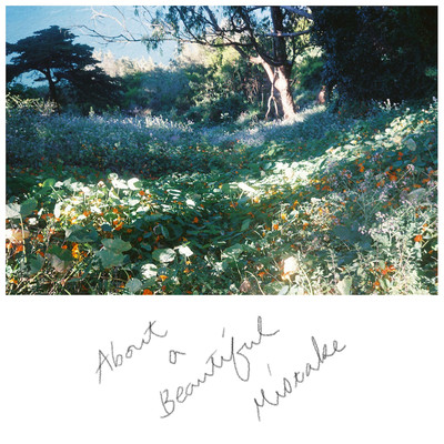About a Beautiful Mistake