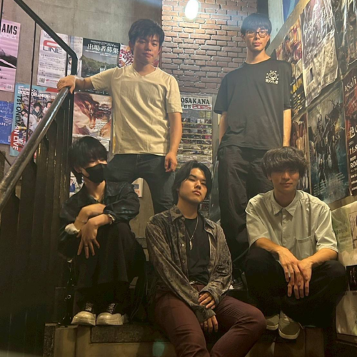 Norwegian Forest Cat