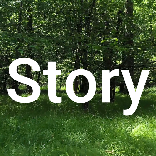 Story