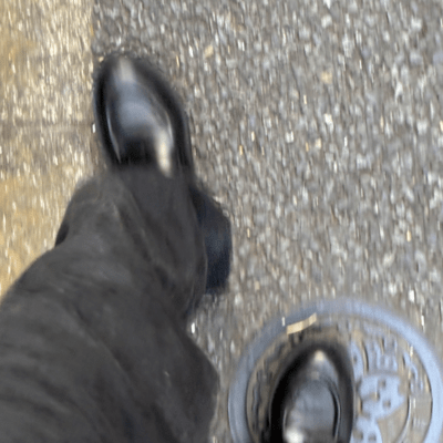 NEON FLOW (NEON FLOW)