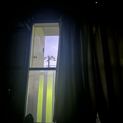 That's the reason we can't die