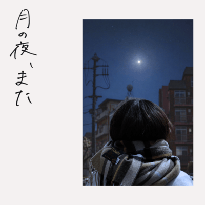 I only wish to see you.