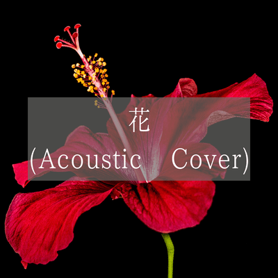 hana (Acoustic Cover)