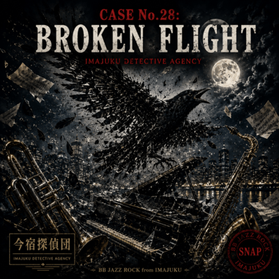 CASE No.28: Broken Flight