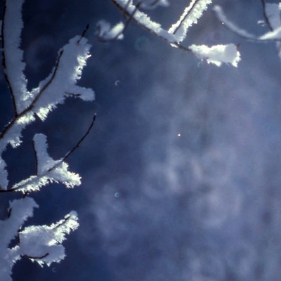 Please melt together in a blaze and loneliness.