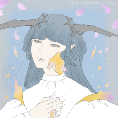 Aster and Euryops