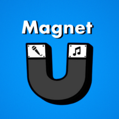 Magnet