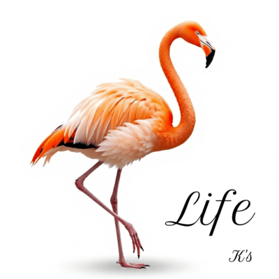 Life
