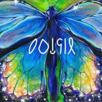 Amateur angel (Live at chikamichi, Tokyo, 2025)