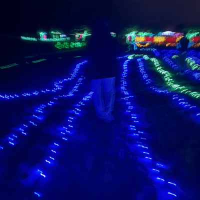 First Love