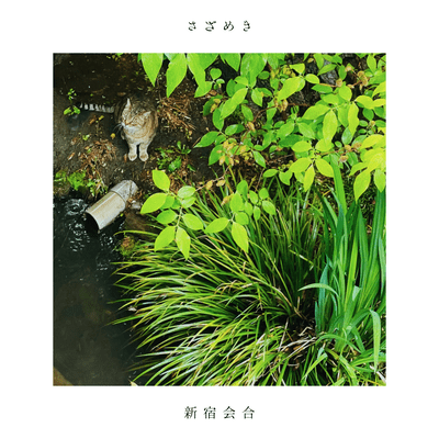 Sazameki