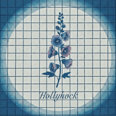 Hollyhock