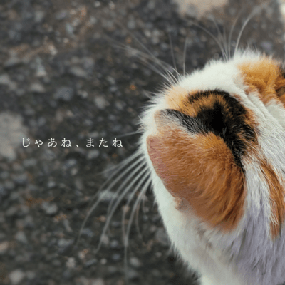 Good Bye