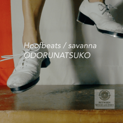Hoofbeats / savanna