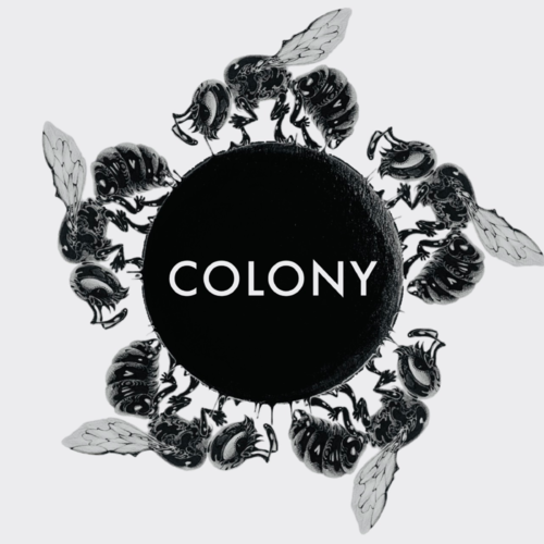COLONY