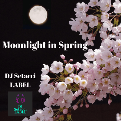 Moonlight in Spring