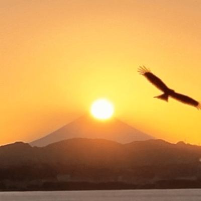 DIAMOND FUJI