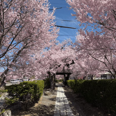 Spring Rondo