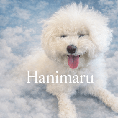 Hanimaru