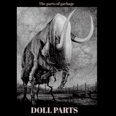 The parts of garbage