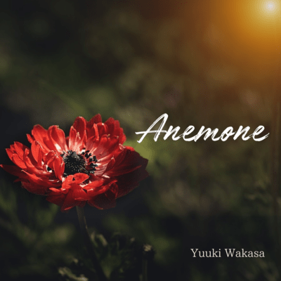 Anemone