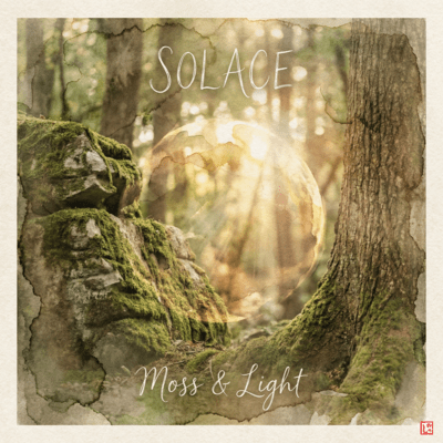 Moss & Light ~Solace~
