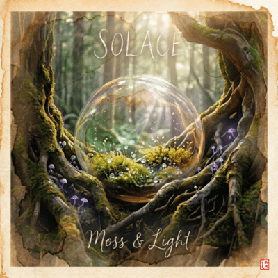 Moss & Light ~Solace~ (noon)