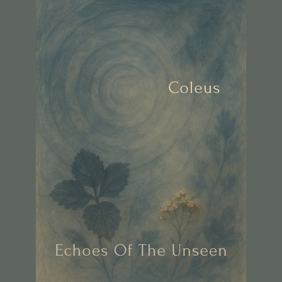 Echoes Of The Unseen