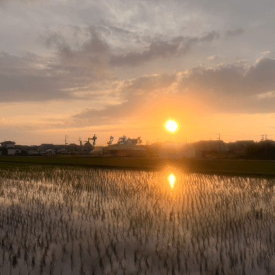 shape of heart ~acapella~