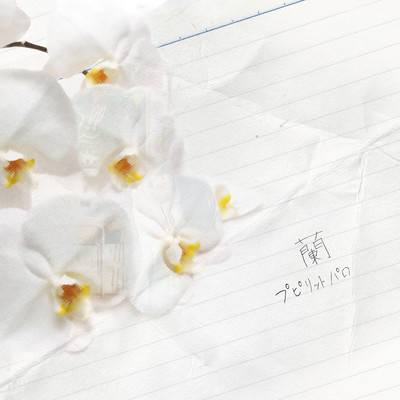 orchid