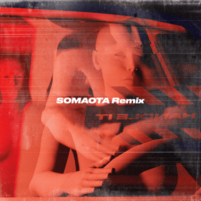 Handle it (SOMAOTA Remix)