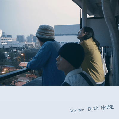 Visitor